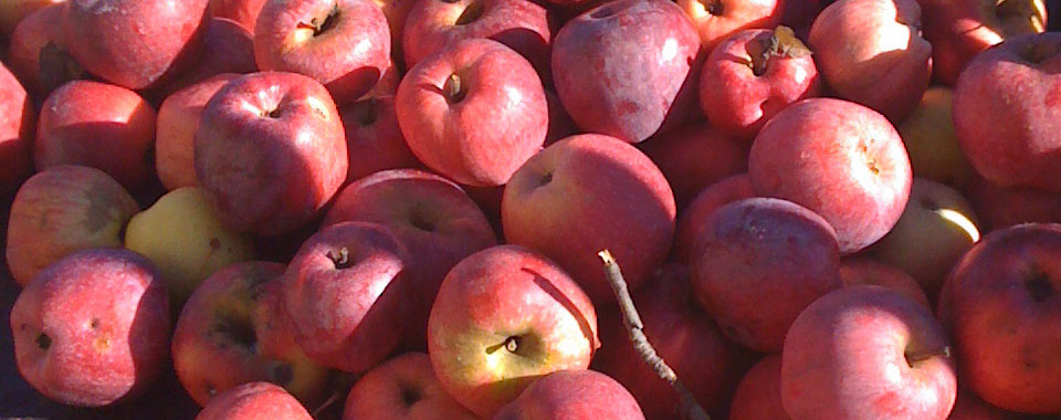 BrulÃ¨ di succo di mela